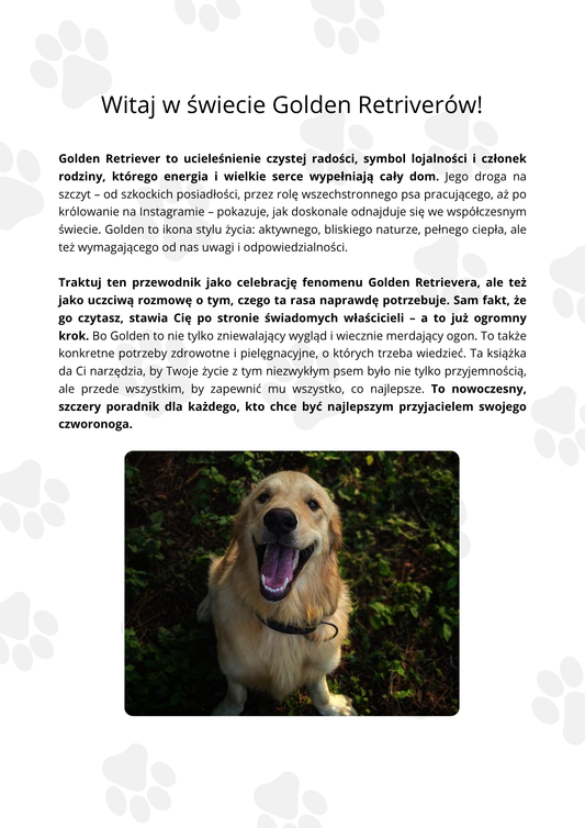 Odpowiedzialny Właściciel Golden Retrievera