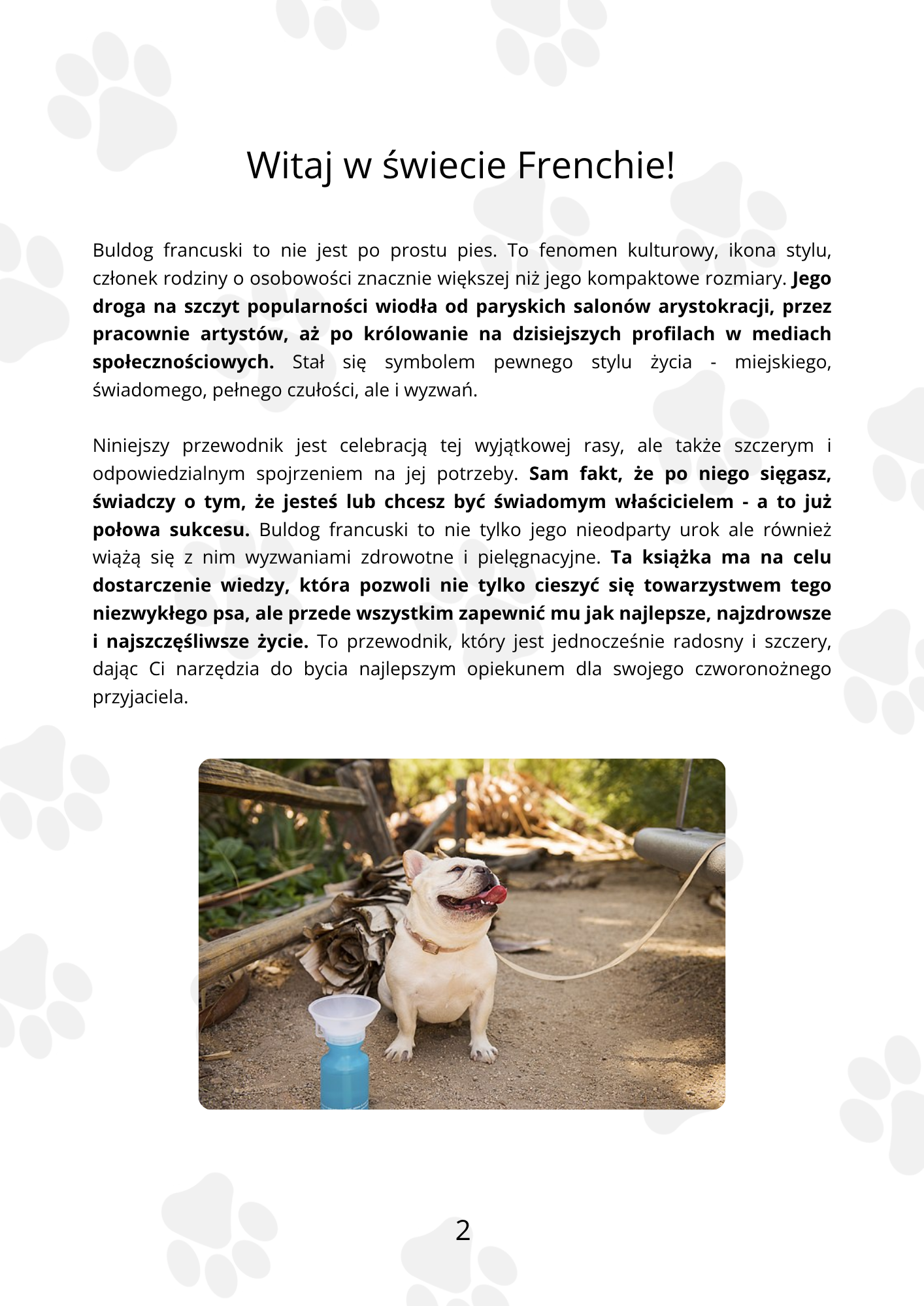 Pies na smyczy z tekstem o buldogach francuskich.